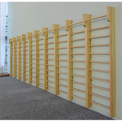 Стенка гимнастическая с выносом 2800х800 ОС-13575