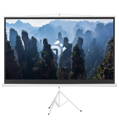 100" Экран для проектора DEXP TMD-100 02830965268