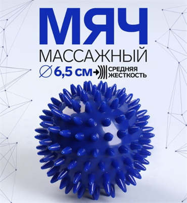 Массажный мяч универсальный, картонная коробка, d = 6,5 см, цвет синий 026558