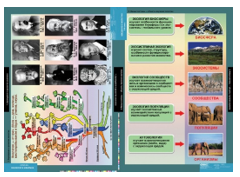 Учебный альбом «Введение в экологию» 01856