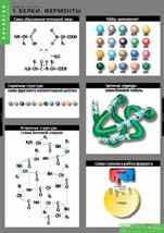 БИОЛОГИЯ Химия клетки 02830597