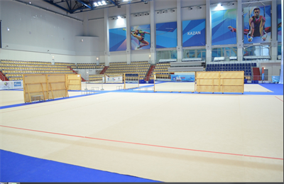 Соревновательный ковер для художественной гимнастики, размер 8х10м. толщина10мм. НФ-134095