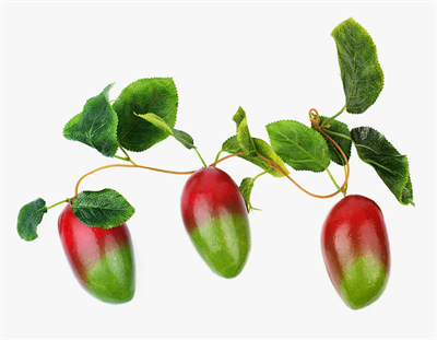 Ветка муляжей "Манго" 025990