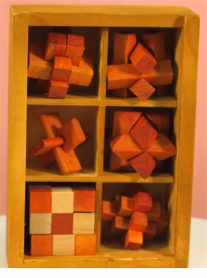 Набор деревянных головоломок 0281050