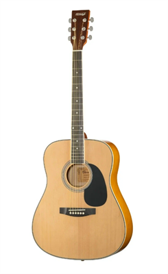 LF-4111-N Акустическая гитара HOMAGE 026346