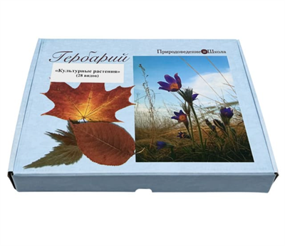 Гербарий Культурные растения (28 видов) gvWzxVQfjZ0UvLeFp8fgJ0