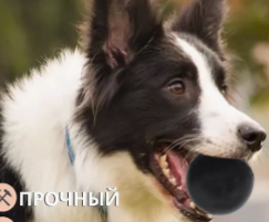 Игрушка для собаки мяч цельнорезиновый жесткий XIHQP5Z3gj6Zaaq9U57fB2