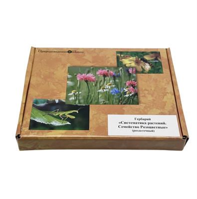 Гербарий Систематика растений. Семейство Розоцветные (раздаточный) qm2O01OqhSlIQqIJkO1Zd2