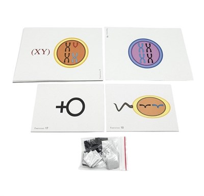 Модель-аппликация Гаметогенез у человека и млекопитающих 0283096599719