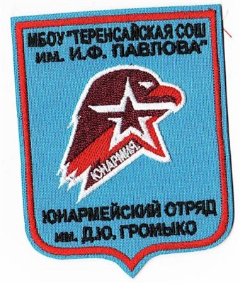 Шеврон «региональный» 027580