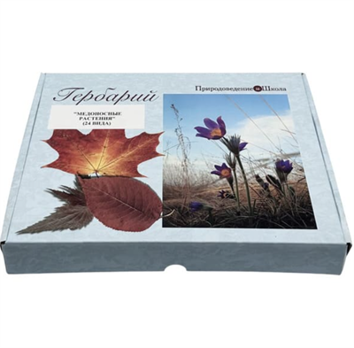 Гербарий Медоносные растения (24 вида) uT5tjjCPhIKcw11dHPFCv0