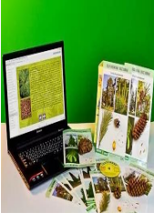 Электронное наглядное пособие «Водоросли. Мхи. Цветковые» 0283095089