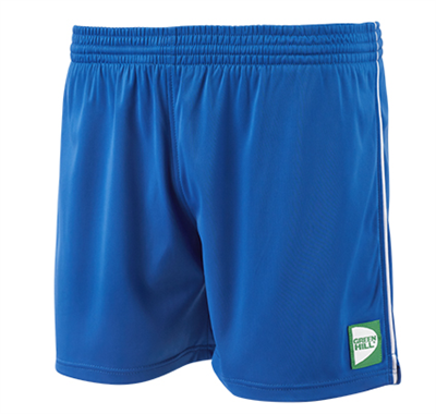 Шорты САМБО Мастер FIAS Approved синие 0283095037