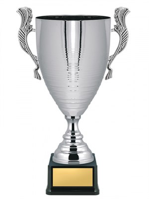 Кубок престижный 025900