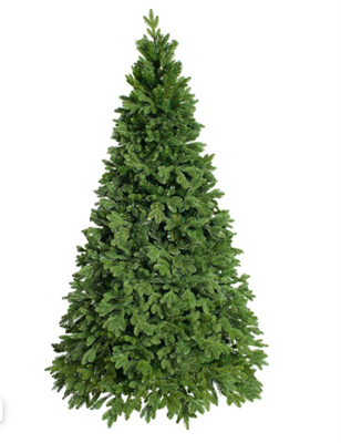 Ель Иркутская 230 0283096165 - фото 1425403