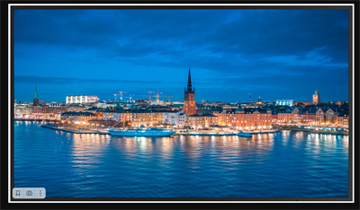 Профессиональная панель SA-65P 025968