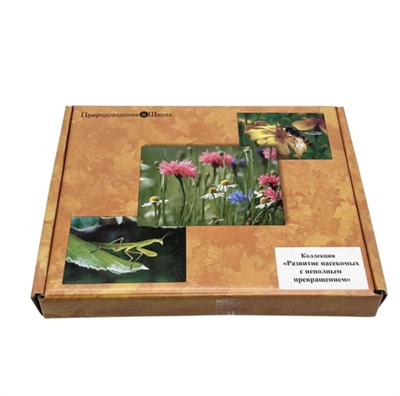 Коллекция Развитие насекомых с неполным превращением EFez3DX0iPmA8dsgAxl1I0