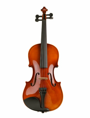 Скрипка ученическая Livingstone L-VP01 4/4 026351