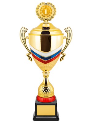 Кубок с российской символикой 025870