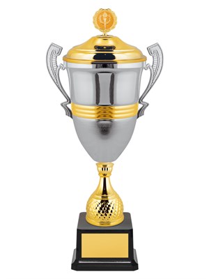 Кубки престижные 025895