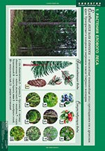 БИОЛОГИЯ Растения и окружающая среда 02830601