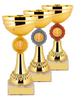 Кубок наградной 025911