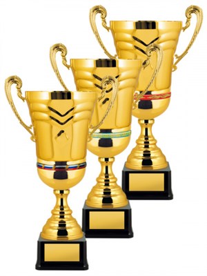 Кубок с символикой на заказ 025884