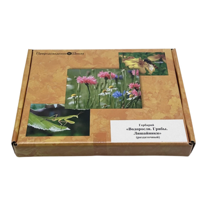 Гербарий Водоросли. Грибы. Лишайники (раздаточный) IS-jYWg6gFEtzw2JVJnDy2
