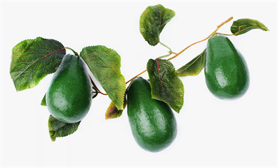 Ветка муляжей "Авокадо" 025972