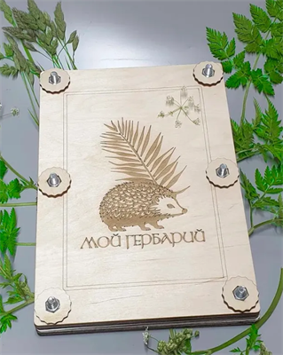 Пресс для гербария А4 WbYeV40iiTmMmw2sDvAGt0