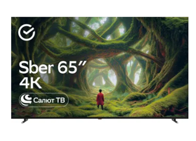 65" Умный телевизор SBER SDX-65U4139 4K Ultra HD RMtPuaYxi6AAp94jFQi8n2
