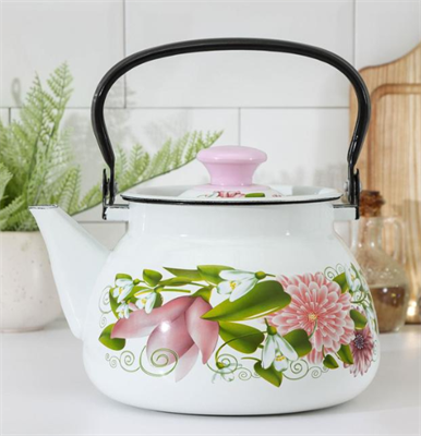 Чайник - 3л эмалированный 0281957