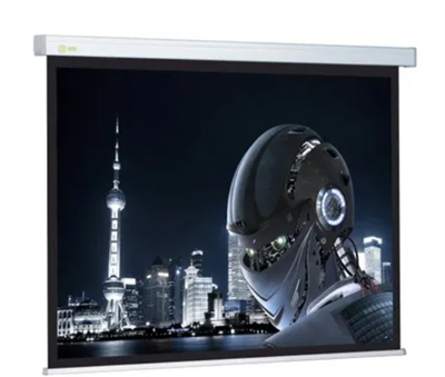 Экран Cactus Wallscreen CS-PSW 0283096145