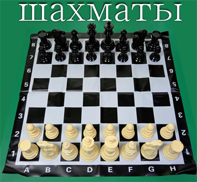 Шахматы напольные большие парковые "Маленькие великаны" с полем 90*90 см и высотой короля 20,6 см. 02829125