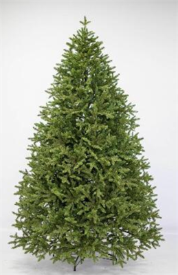 Ель Крымская 280 0283096161 - фото 1428447