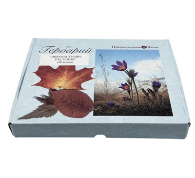 Гербарий Дикорастущие растения (28 видов) ekWjXSV-gFc2dLAxkPmPA2
