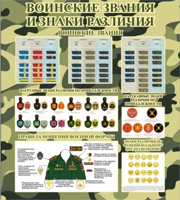 Стенд Воинские звания и знаки различия 800 х 900 пластик 3 мм 2575