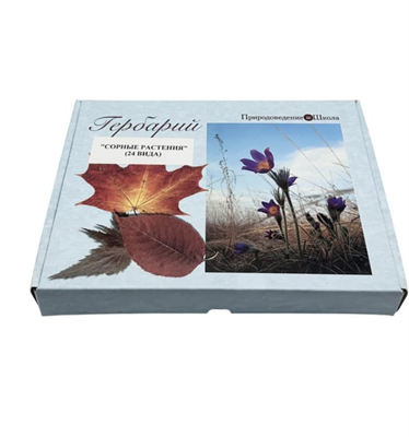 Гербарий Сорные растения (24 вида) LK4is3ophHqb0bKXyBQiH1