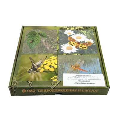 Коллекция Семейства жуков nE43TAAVg5fmmYwAXwOKX3