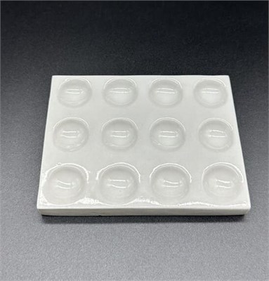 Пластина выпарительная на 12 ячеек 0283096599699