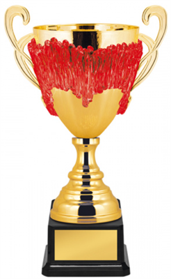 Кубок оригинальный 025867