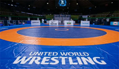 Борцовский ковер 5,8х20х0,05м 02830304