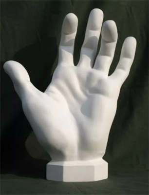 Гипсовая модель "Кисть человека" 026008