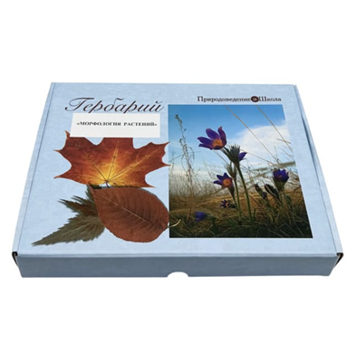 Гербарий Морфология растений (5 тем х 3 листа) ptHQYs6kjBXmSf5ALGCbS0