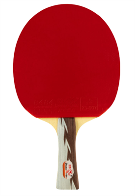 Ракетка для настольного тенниса DOUBLE FISH 5D-C, с чехлом sddtN61nimMNa3rS1m3AZ1