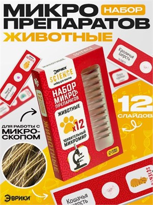 Набор для опытов «Набор микропрепаратов», животные 0283096600144