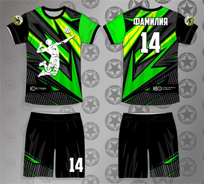 Волейбольная игровая форма (муж.) 0283096168 - фото 1430382