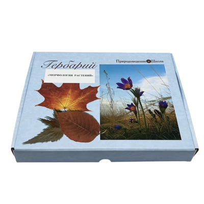 Гербарий Морфология растений (5 тем х 3 листа) g7QR8xjhh2Ic4dgzW5x8l1