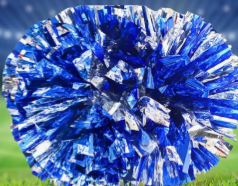 Помпоны для черлидинга и танцев rXoyrGchgNI1sAYLalOOY1 - фото 1430563