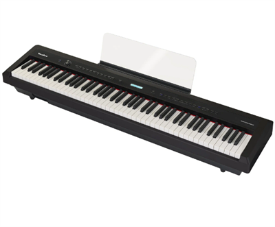 Цифровое пианино TESLER STZ-8800 BLACK 026254